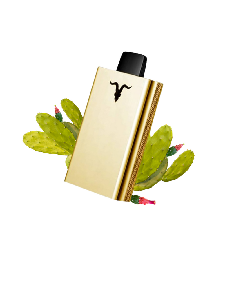 Ignite V80 - 8.000 Puffs Gold Edition