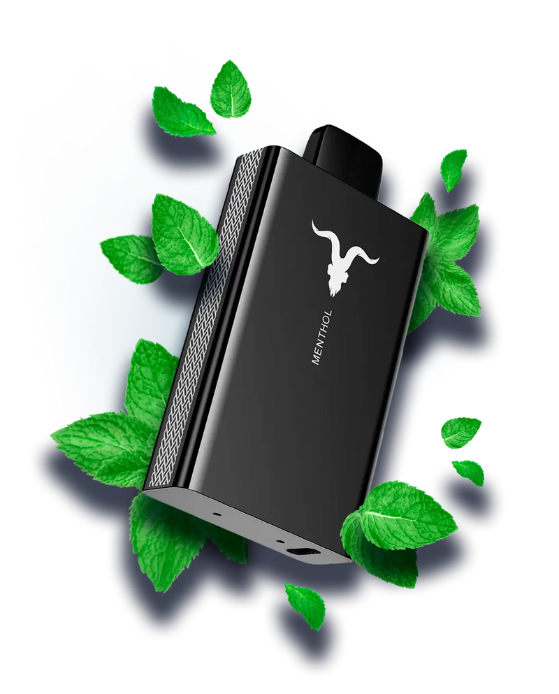 Ignite V80 - 8.000 Puffs
