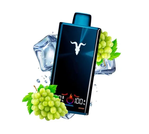 Ignite V300 - 30.000 Puffs