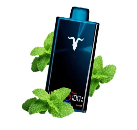 Ignite V300 - 30.000 Puffs
