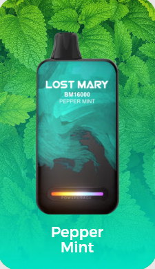 LostMary BM16000 - 16.000 Puffs