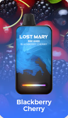 LostMary BM16000 - 16.000 Puffs