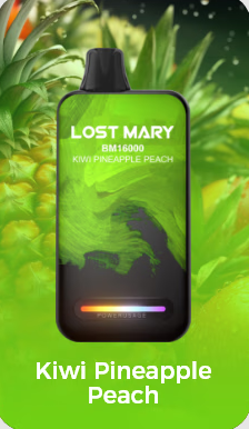 LostMary BM16000 - 16.000 Puffs