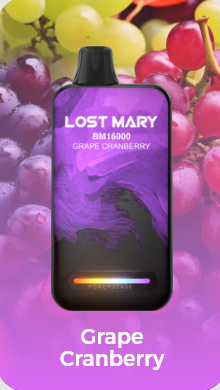 LostMary BM16000 - 16.000 Puffs