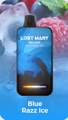 LostMary BM16000 - 16.000 Puffs