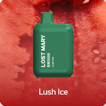 LostMary BM5000 - 5.000 Puffs