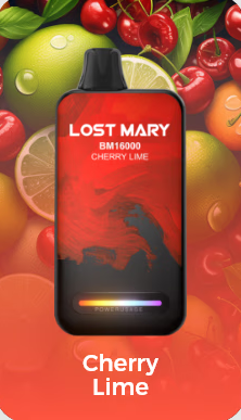 LostMary BM16000 - 16.000 Puffs