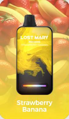 LostMary BM16000 - 16.000 Puffs
