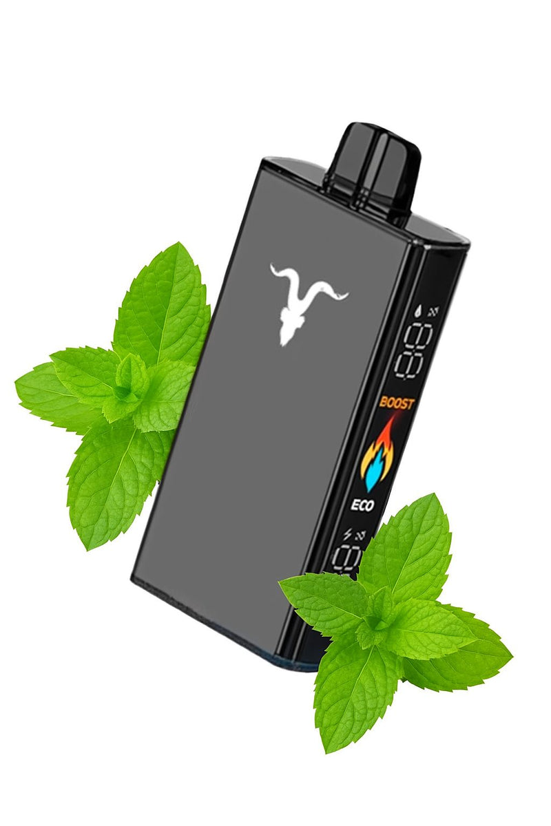 Ignite V250 - 25.000 Puffs