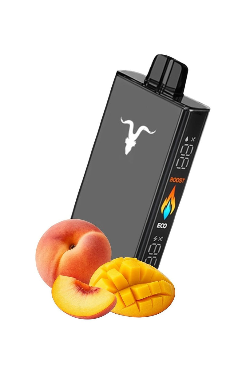 Ignite V250 - 25.000 Puffs