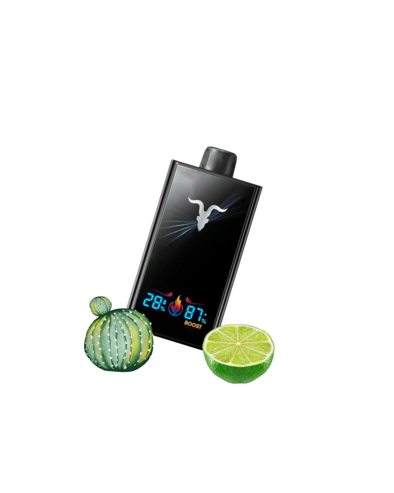 Ignite V300 - 30.000 Puffs