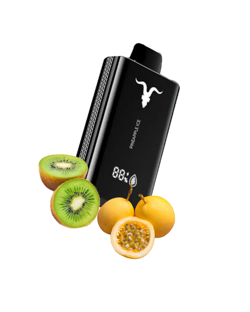 Ignite V120 – 12.000 Puffs