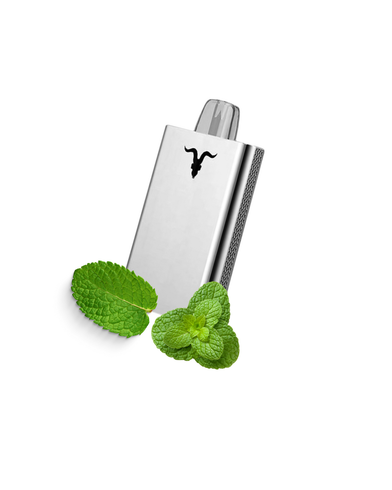 Ignite V80 - 8.000 Puffs Metal