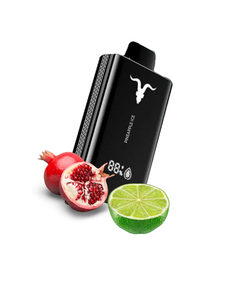 Ignite V120 – 12.000 Puffs