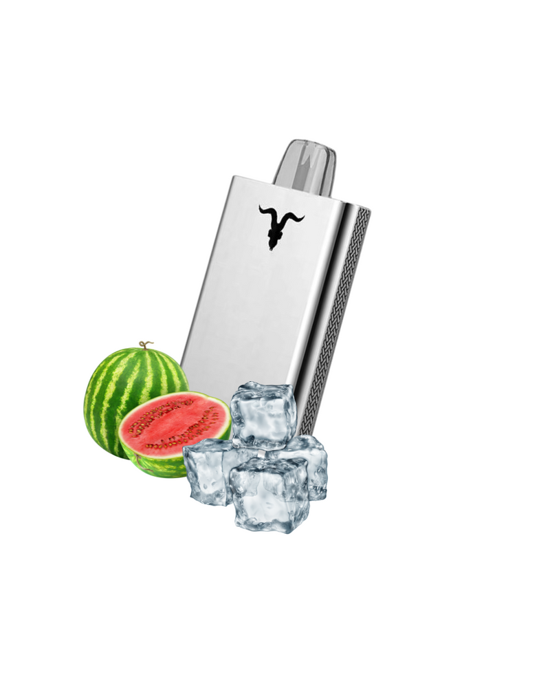 Ignite V80 - 8.000 Puffs Metal