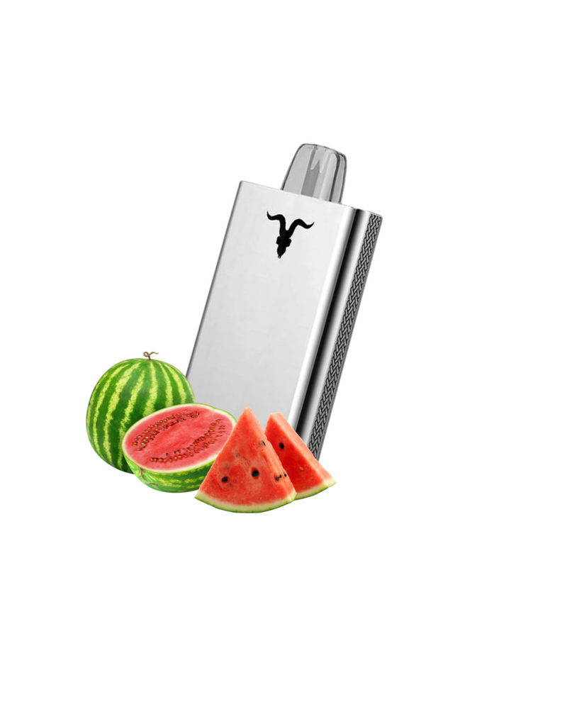 Ignite V80 - 8.000 Puffs Metal
