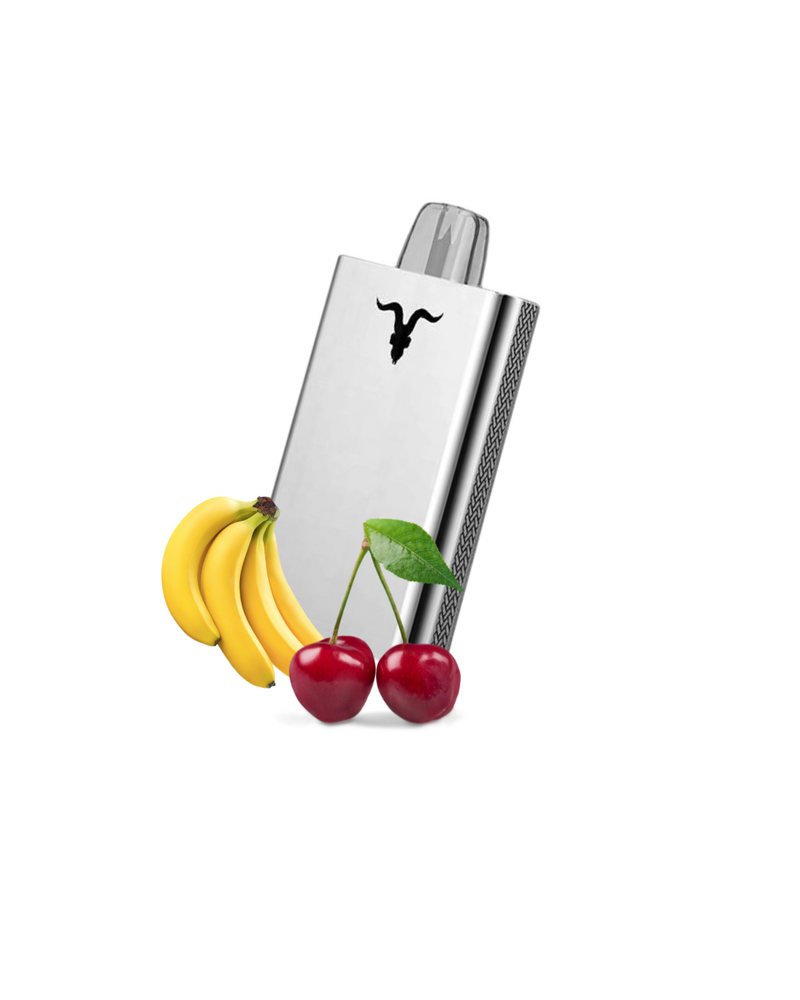 Ignite V80 - 8.000 Puffs Metal