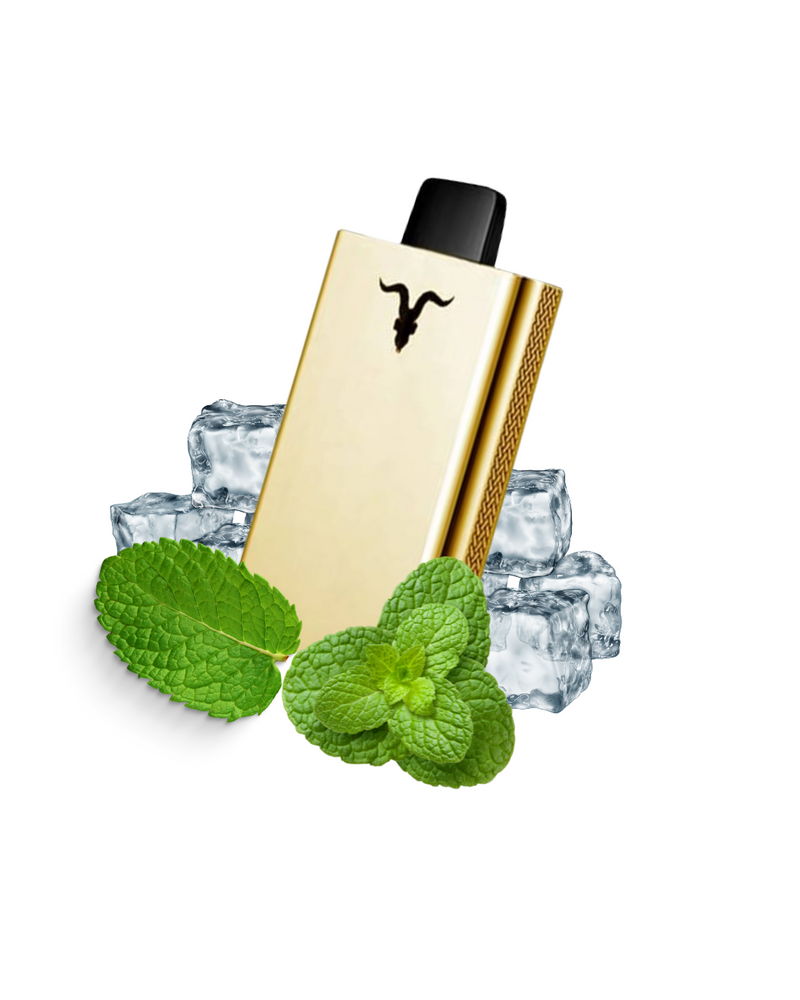 Ignite V80 - 8.000 Puffs Gold Edition