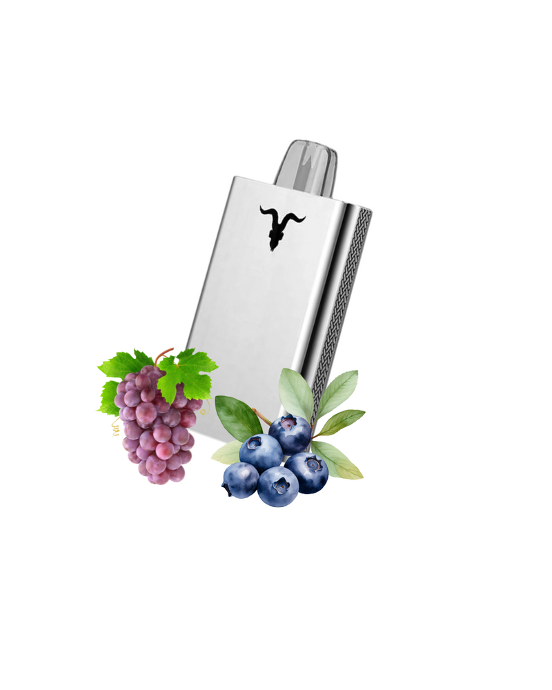 Ignite V80 - 8.000 Puffs Metal