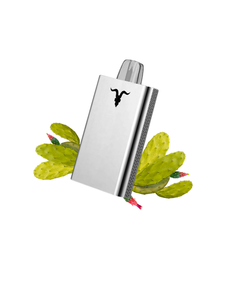 Ignite V80 - 8.000 Puffs Metal