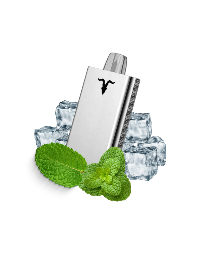 Ignite V80 - 8.000 Puffs Metal