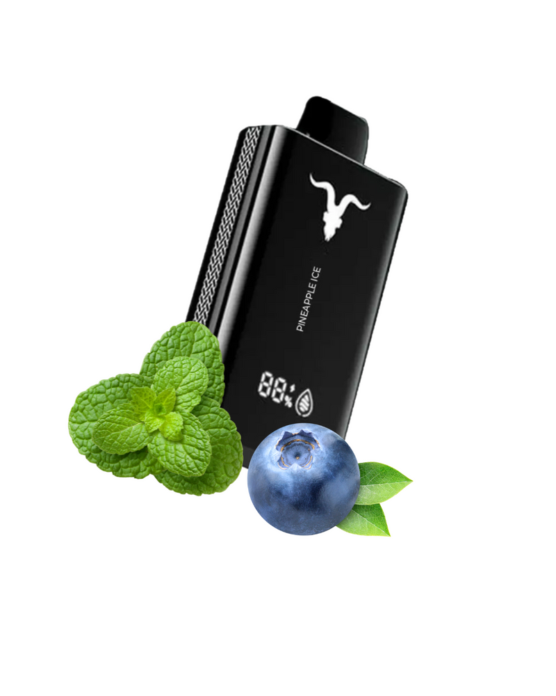 Ignite V120 – 12.000 Puffs