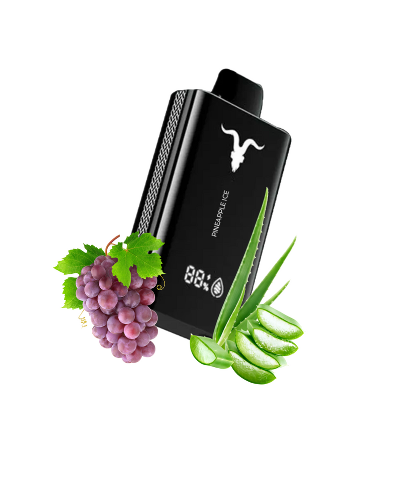 Ignite V120 – 12.000 Puffs
