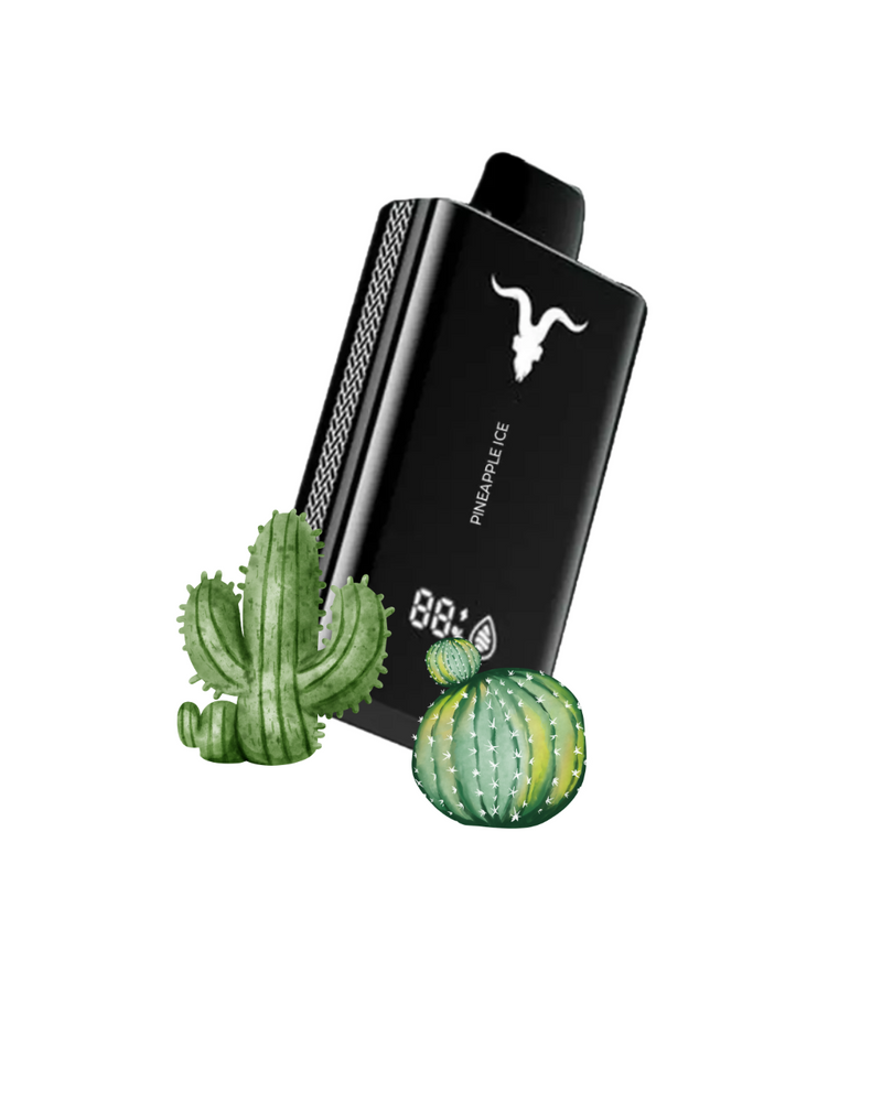 Ignite V120 – 12.000 Puffs