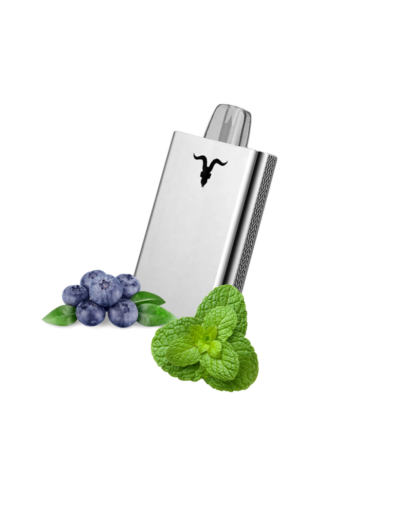 Ignite V80 - 8.000 Puffs Metal