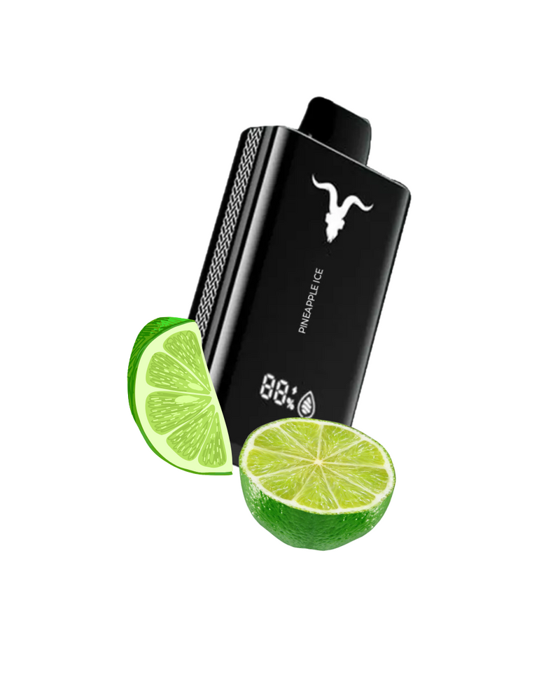 Ignite V120 – 12.000 Puffs