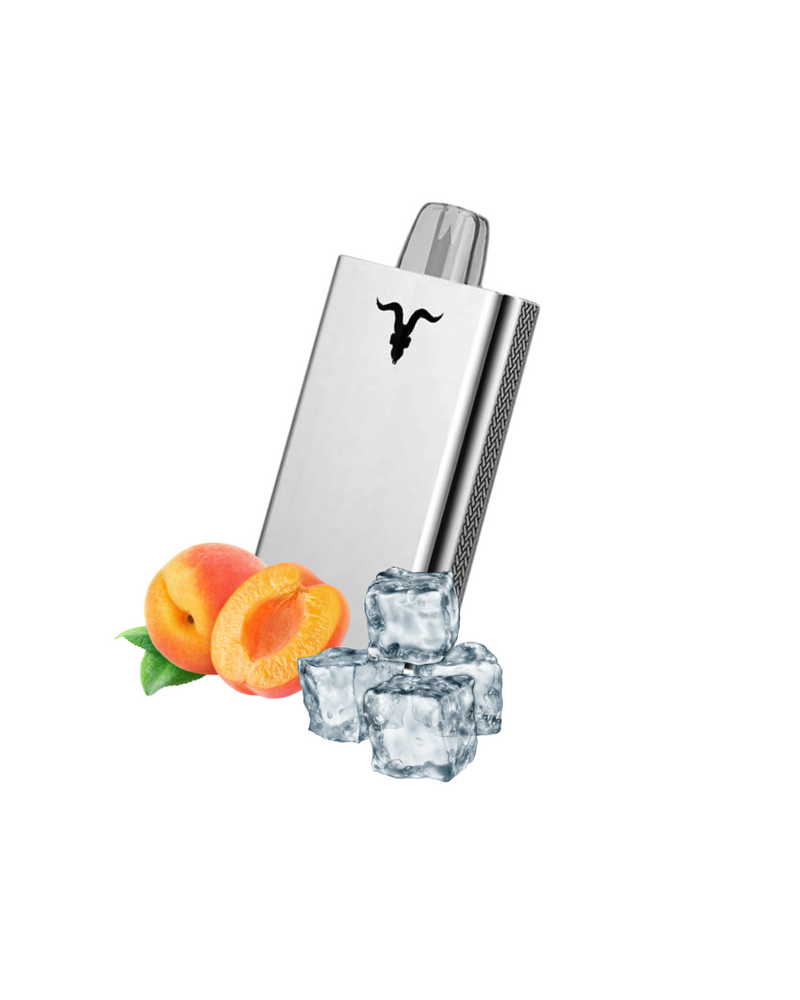 Ignite V80 - 8.000 Puffs Metal