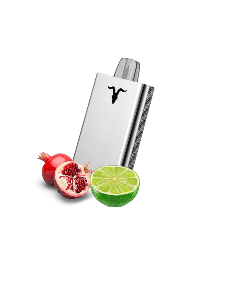 Ignite V80 - 8.000 Puffs Metal