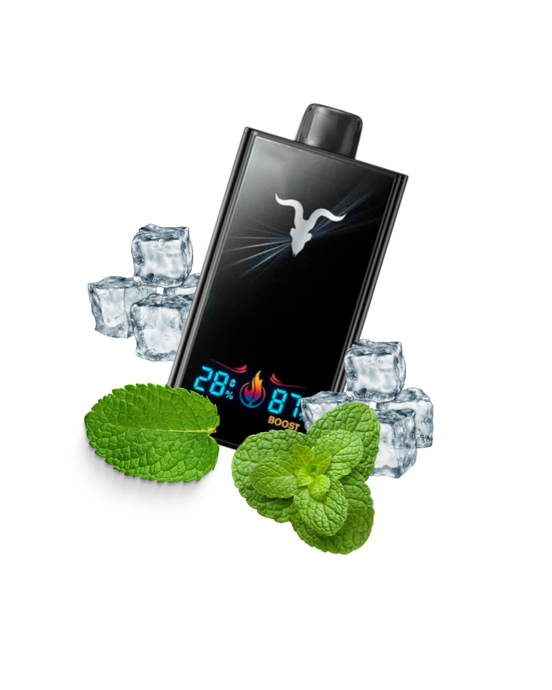 Ignite V300 - 30.000 Puffs
